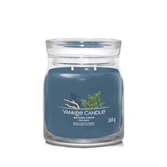 Yankee Candle Bayside Cedar świeca sygnatura średnia 368 g